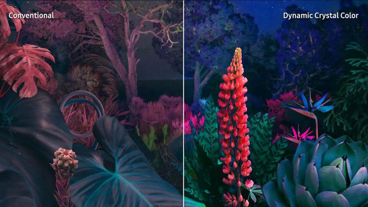 تلویزیون سامسونگ 50CU8100 با تکنولوژی رنگ کریستالی پویا