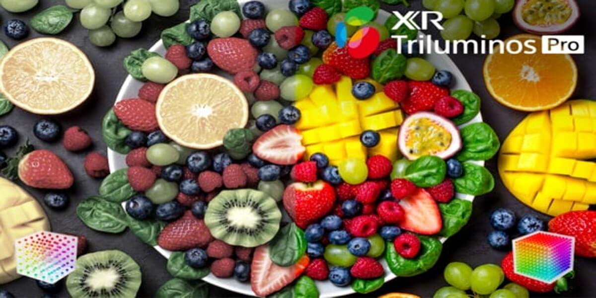 فناوری XR Triluminos Pro و طیف رنگ گسترده